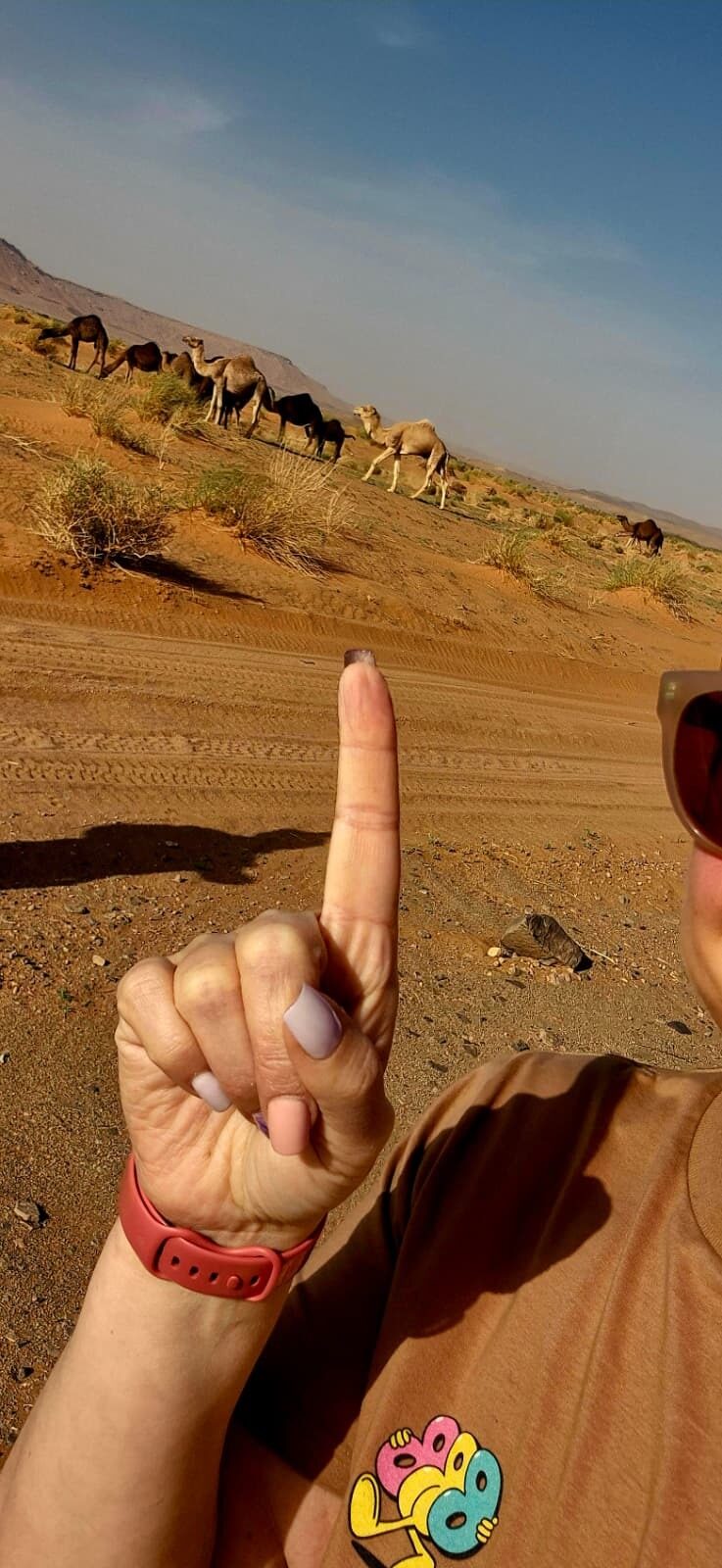Pointing out camels grazing on a desert hillside