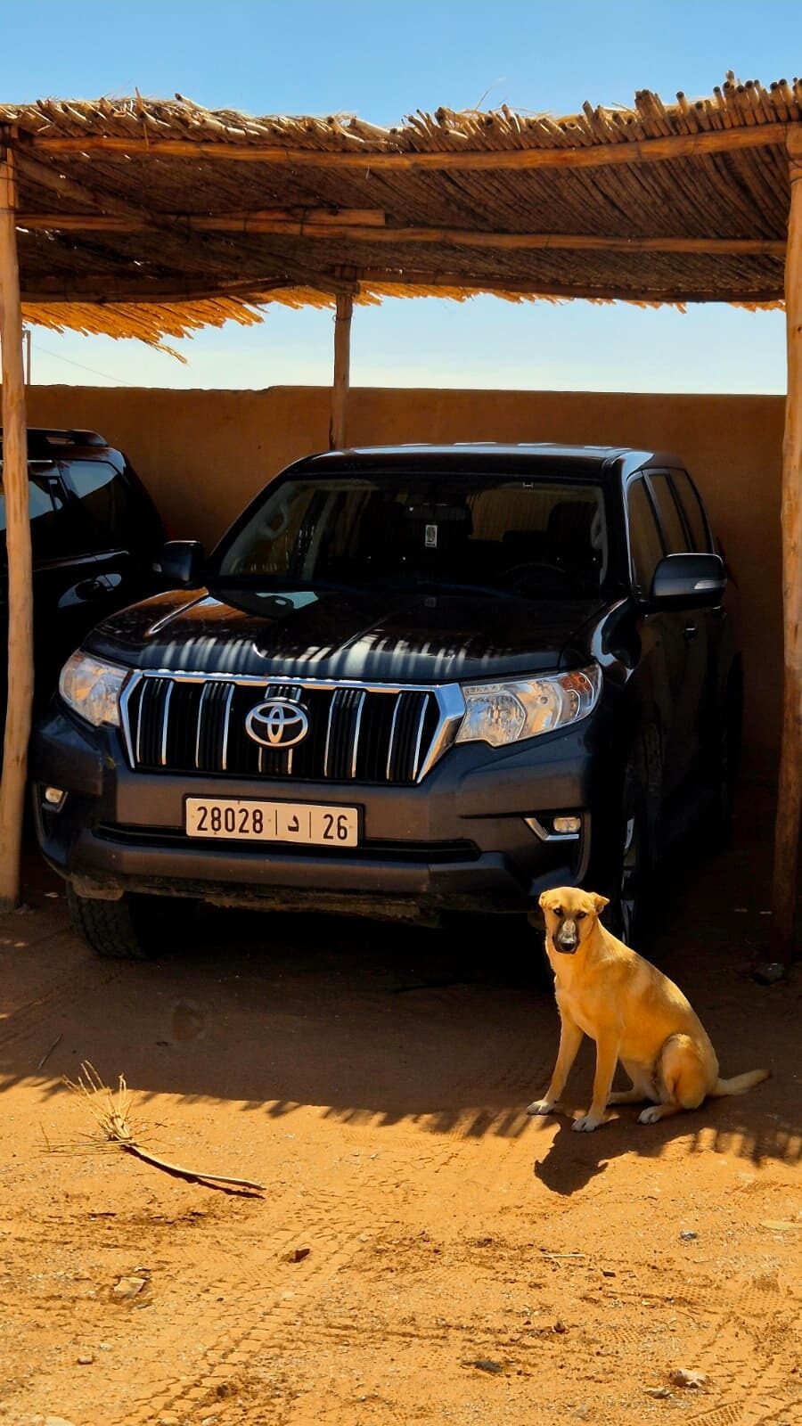 A Toyota Land Cruiser Prado parked in the shade with a dog sitting beside it
